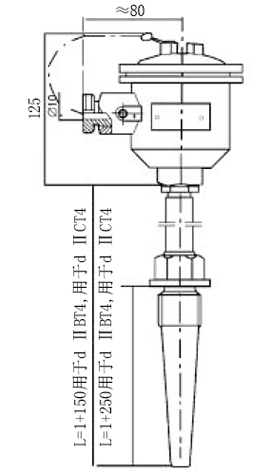 M33×2锥形保护管隔爆型热电阻型号规格